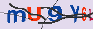 キャプチャ(CAPTCHA)認証コード